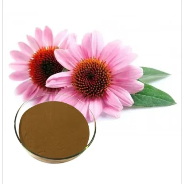 الإكيناسيا