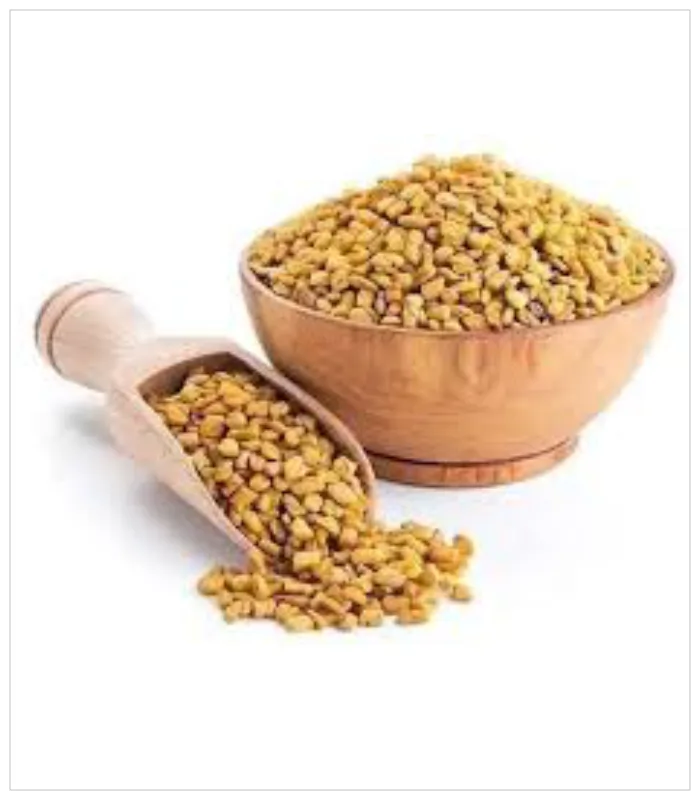 الحلبة