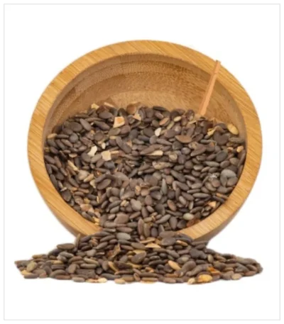 الحنظل