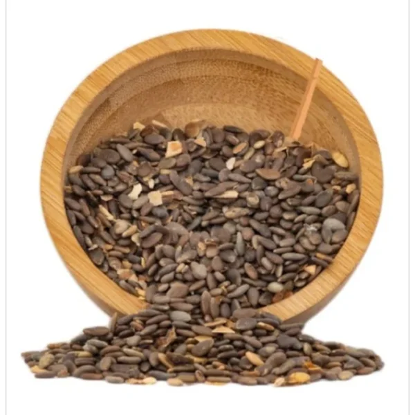 الحنظل