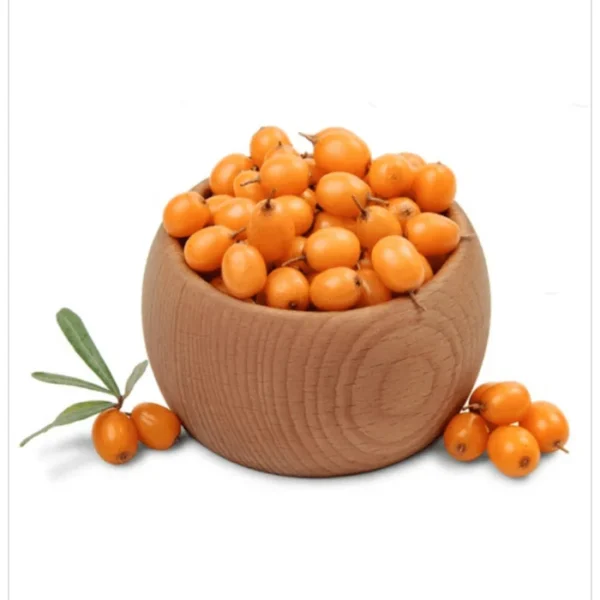 النبق