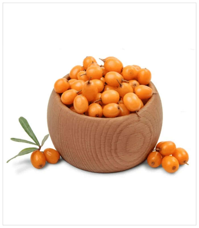 النبق النبق