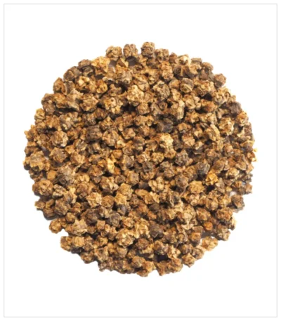 بذور السلق