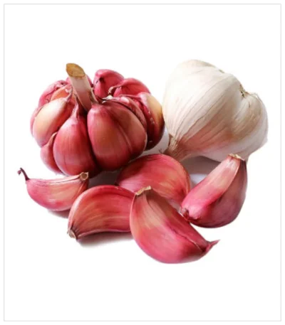 ثوم احمر تونسي