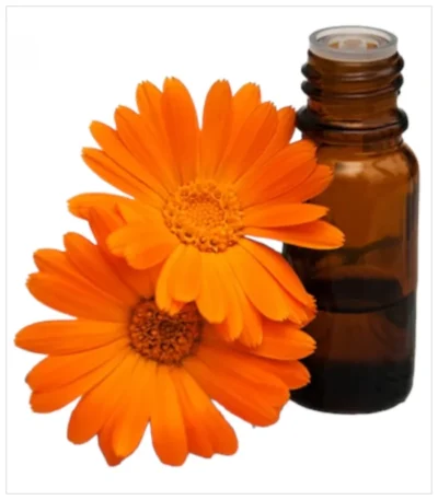 زيت زهرة الاقحوان