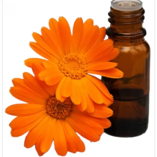 زيت زهرة الاقحوان