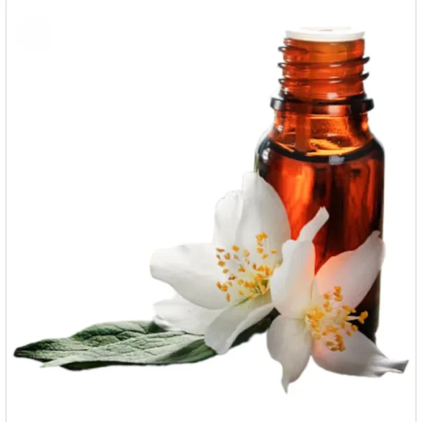 زيت زهرة بوفارديا