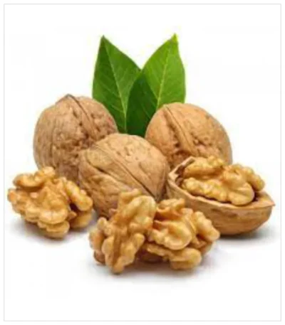 الجوز