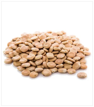 ترمس