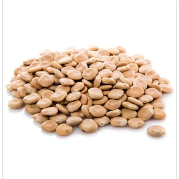 ترمس