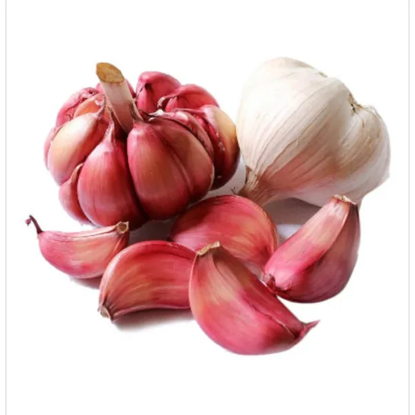 ثوم احمر تونسي