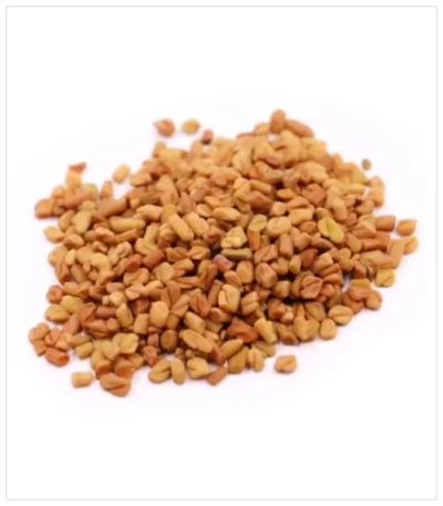 حلبه مصريه