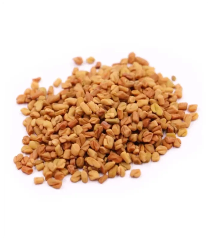حلبه مصريه