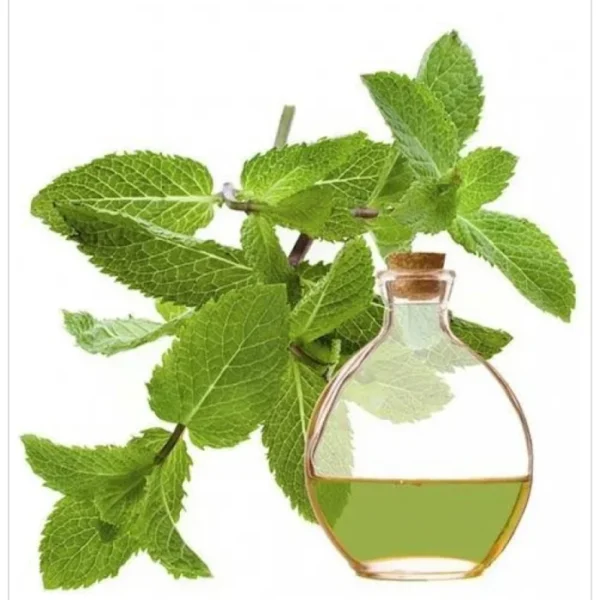 زيت الاريجانوا