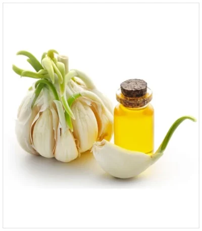 زيت الثوم الطبيعي