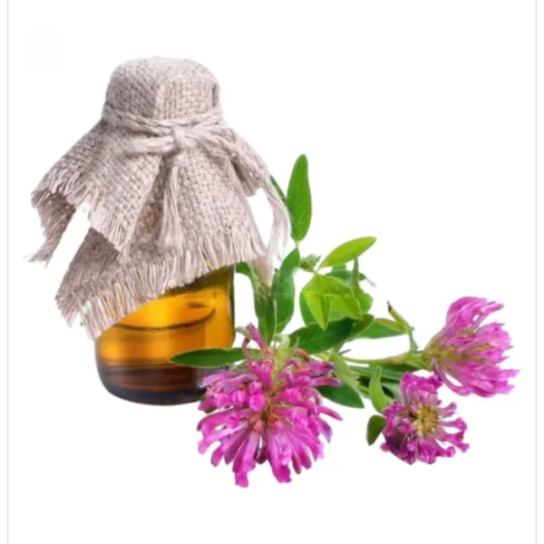 زيت زهرة أستر