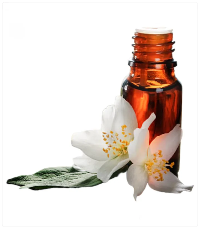 زيت زهرة بوفارديا زيت زهرة بوفارديا