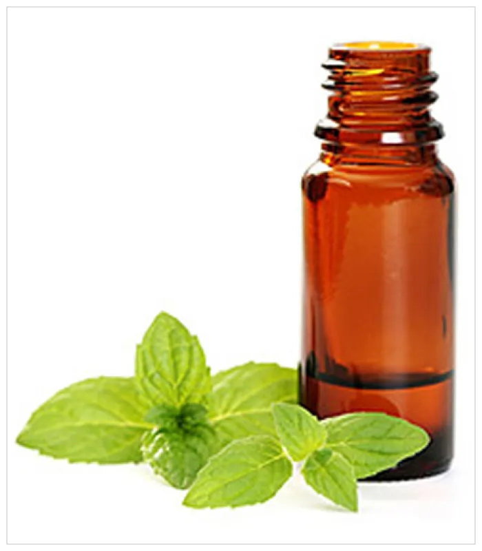 زيت الاس الطبيعي زيت الاس الطبيعي