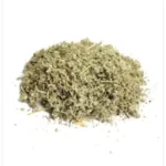 عشبة الخياطة