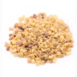 لبان ذكر صغير
