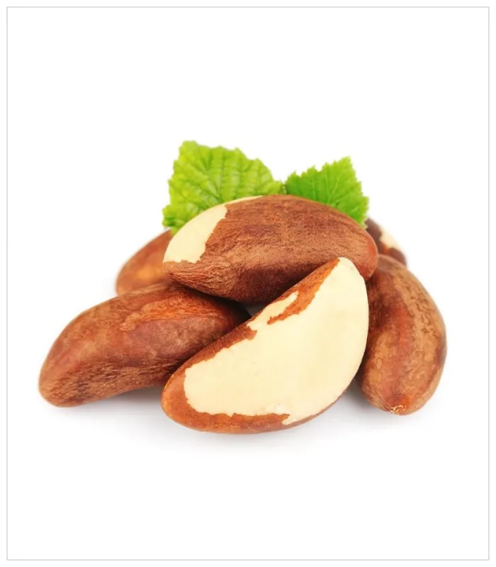 لوز برازيلي لوز برازيلي