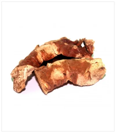 خولنجان كبير