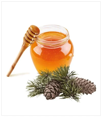 عسل الصنوبر المصفى