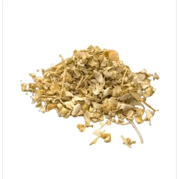 عشبة القطف المالح