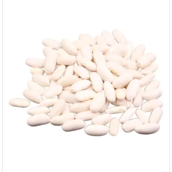 فاصوليا بيضاء