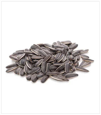 قلوب عباد الشمس