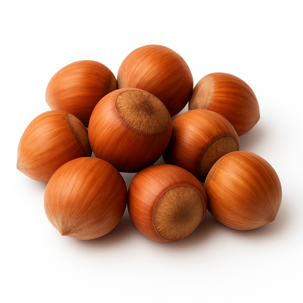 بندق طبيعي بقشوره بندق طبيعي بقشوره عالي الجودة