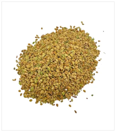 حلبة بلدي