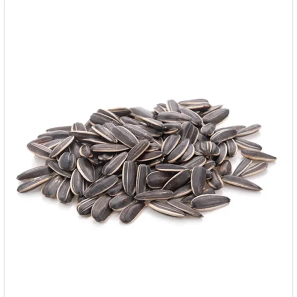 قلوب عباد الشمس