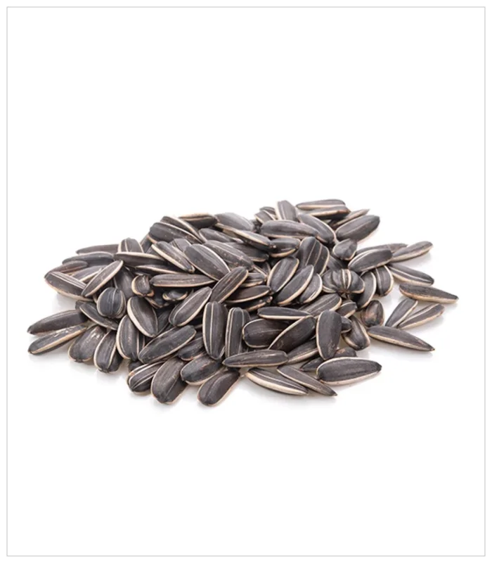 قلوب عباد الشمس قلوب عباد الشمس