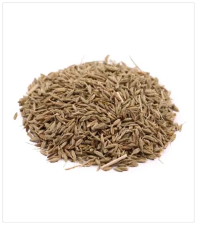 كمون أخضر بلدي