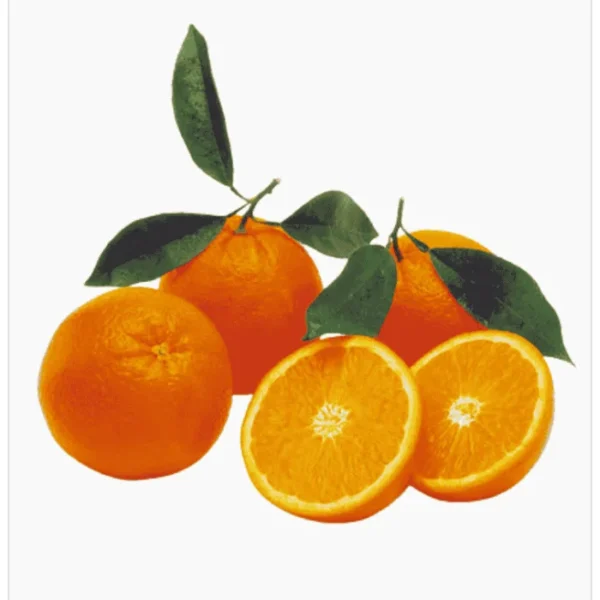 برتقال