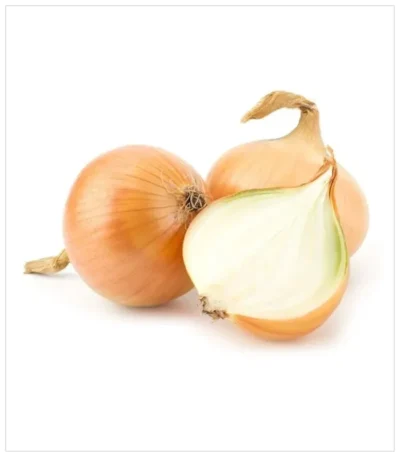 بصل ذهبي