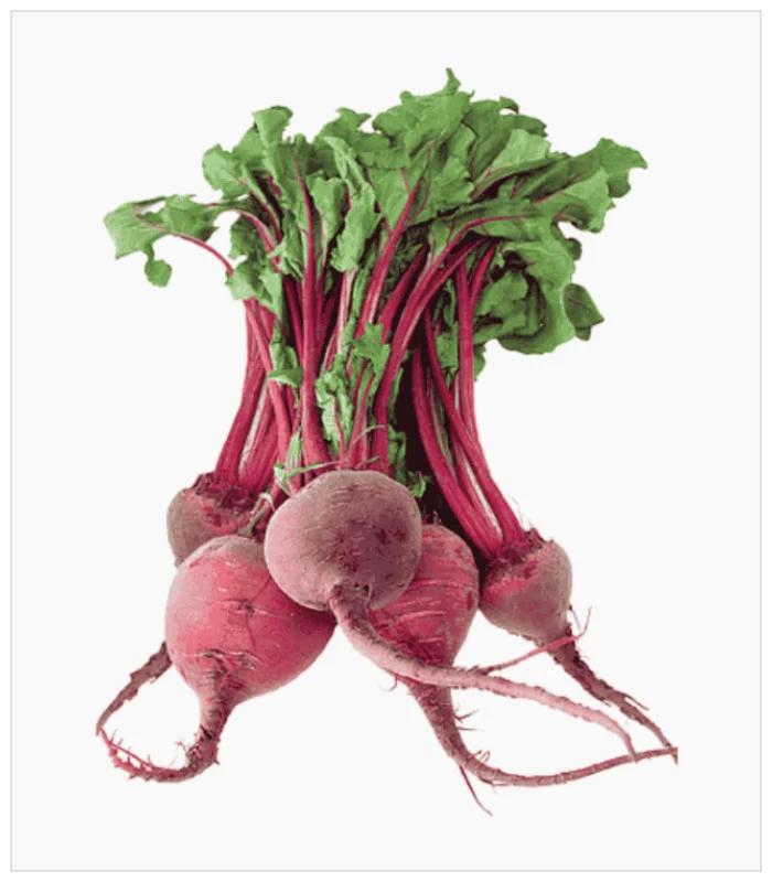 شمندر عضوي شمندر عضوي