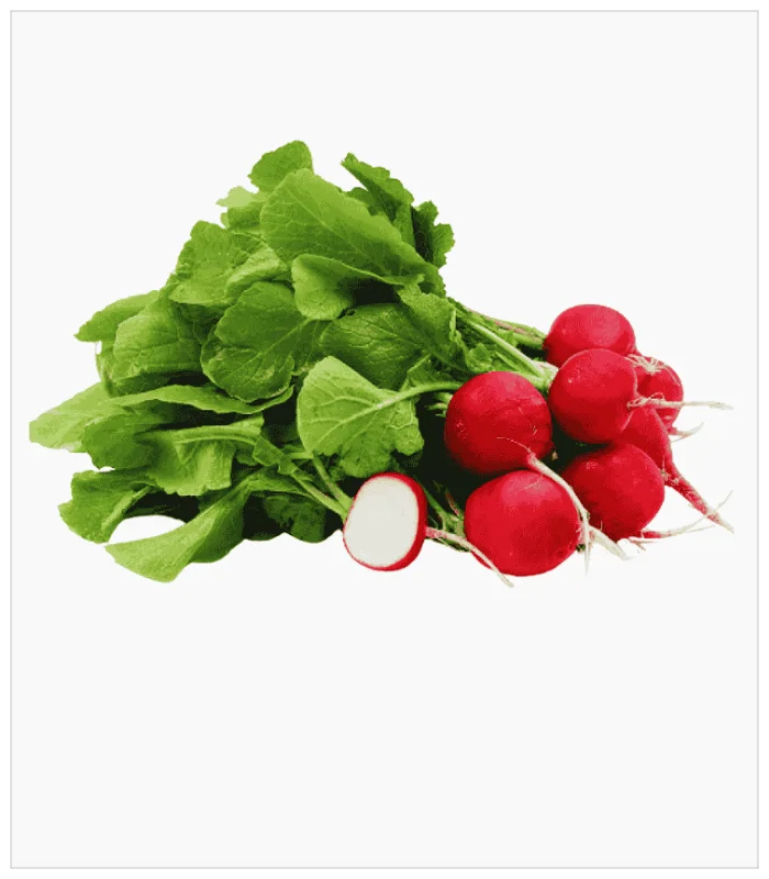 فجل احمر عضوي