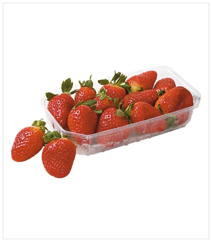 فراولة فراولة