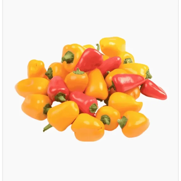 فلفل شيري ملون