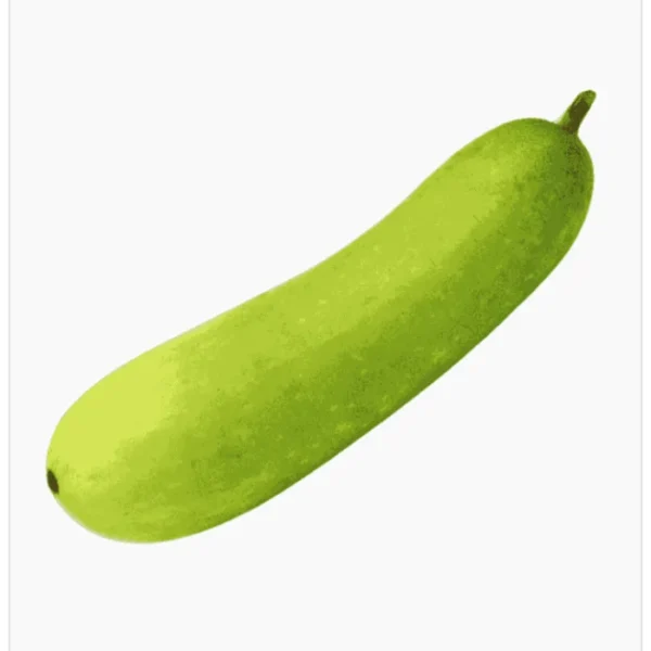 قرع اخضر عضوي