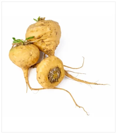 عشبة الماكا