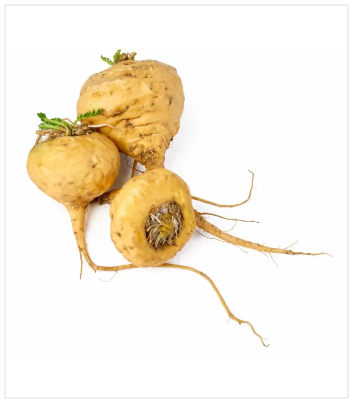 عشبة الماكا