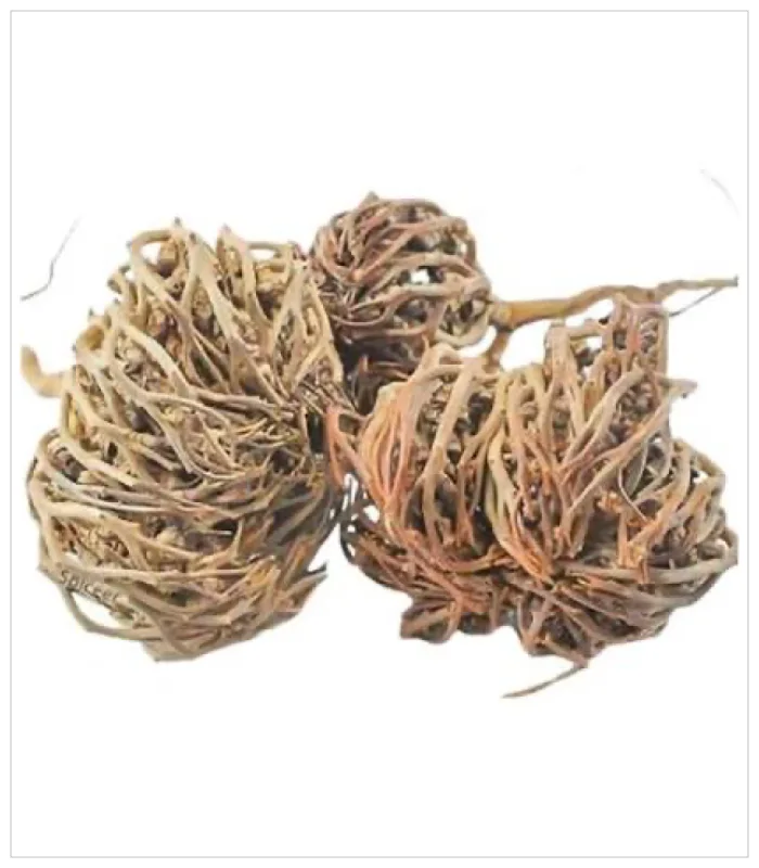 كف مريم كف مريم