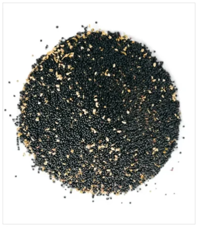 الساكتة والمسكوتة