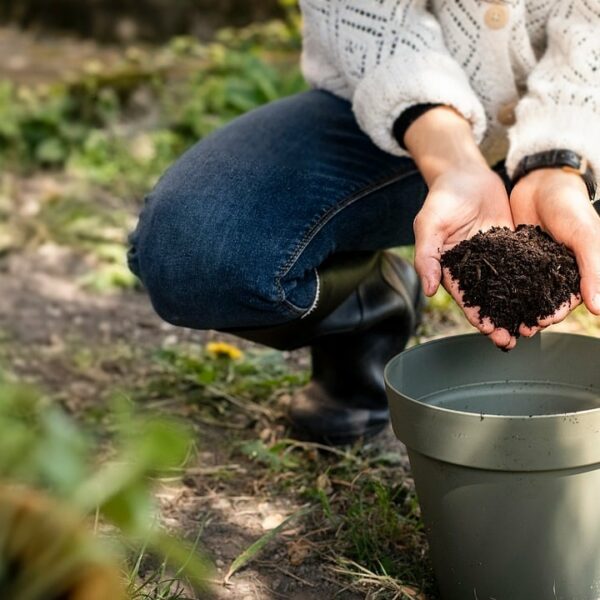 Activateur compost 1kg