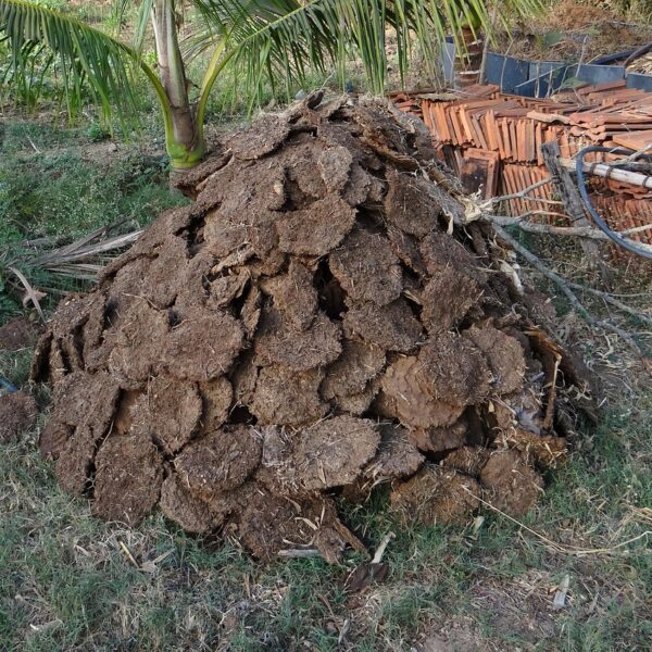Fumier composte 10kg