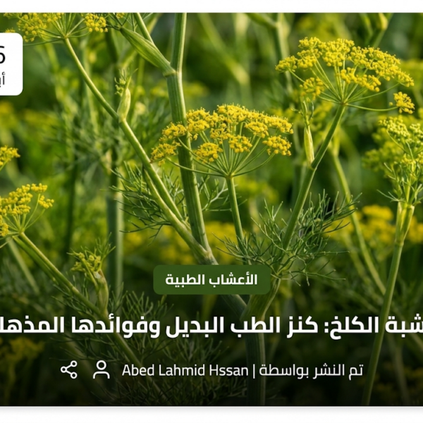 صورة بطاطس طازجة من متجر أعشاب قمرة