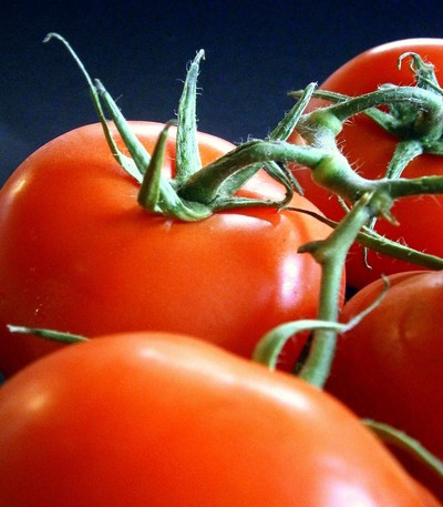 veg5_4414 طماطم كعبة - الصورة 1